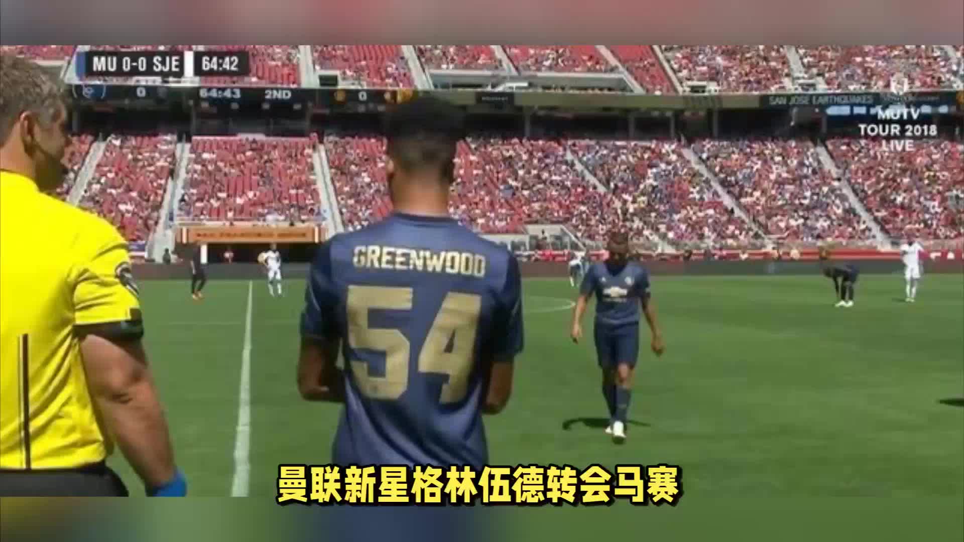 神象征绝不